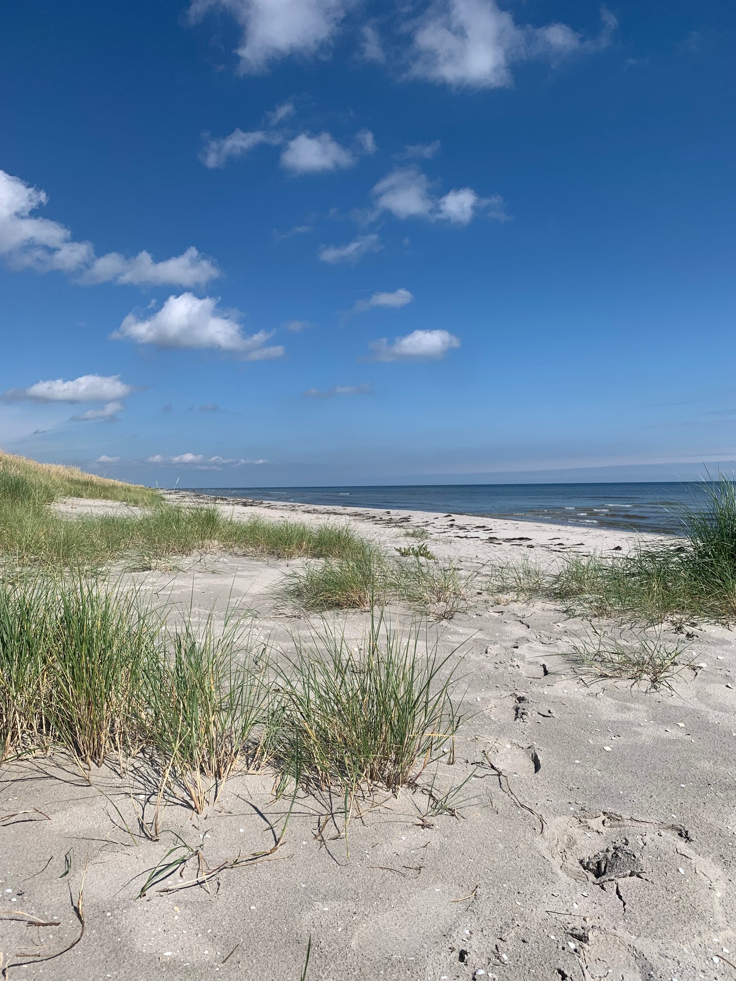 Sommer Sonne Sonnenschein!