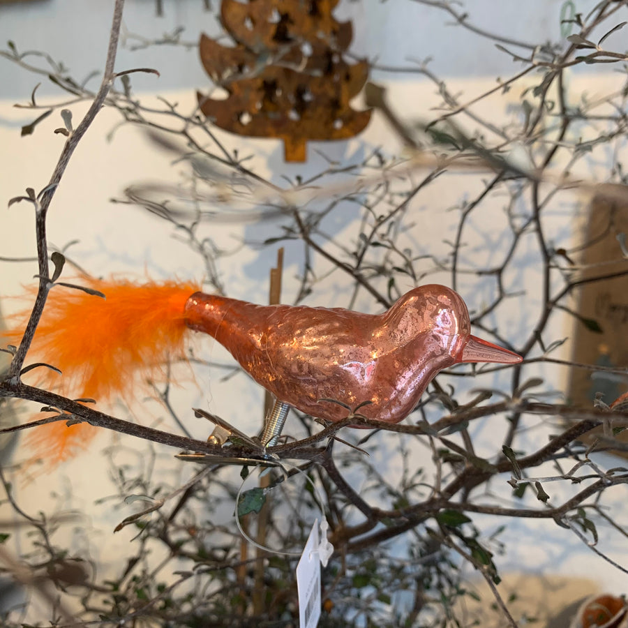 Glasvogel mit Federn von ib laursen